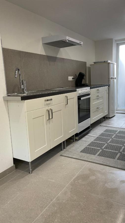Appartement Bes,, F2 Renove Confort Avec Entree Independante Wittenheim Exteriör bild